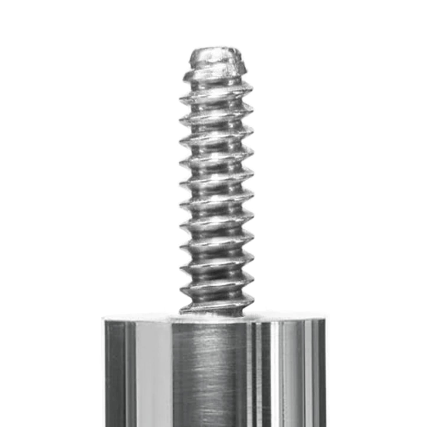 Close-up view of the threaded screw for joint protectors.